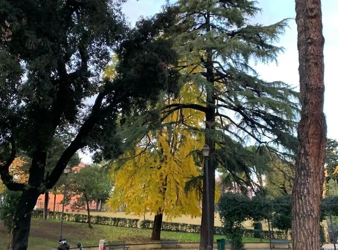 Apartment 2 Bedroom Flat At Just 4 Tube Stops From Coliseum